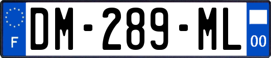 DM-289-ML