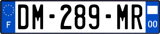 DM-289-MR