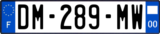 DM-289-MW