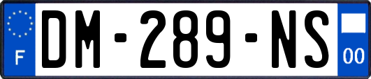 DM-289-NS
