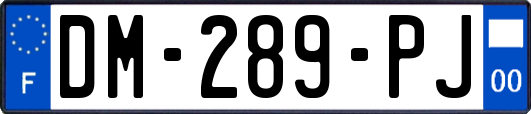 DM-289-PJ
