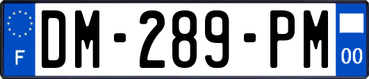 DM-289-PM