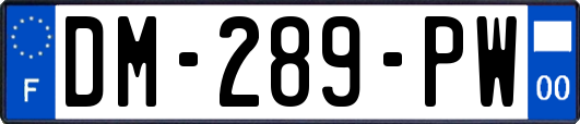 DM-289-PW