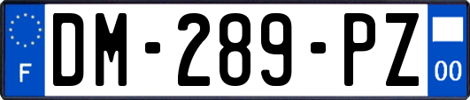 DM-289-PZ