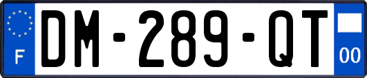 DM-289-QT