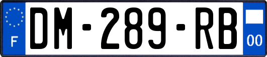 DM-289-RB