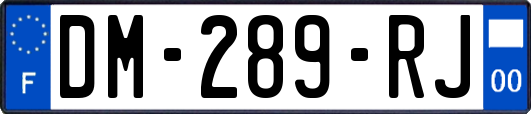DM-289-RJ