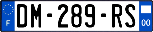 DM-289-RS