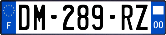 DM-289-RZ