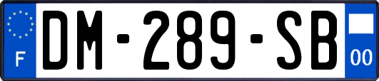 DM-289-SB