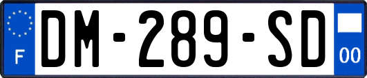 DM-289-SD