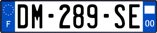 DM-289-SE