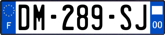 DM-289-SJ