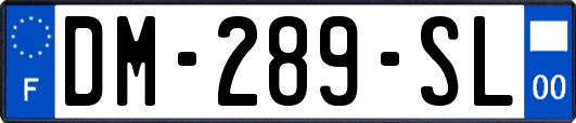 DM-289-SL