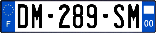 DM-289-SM