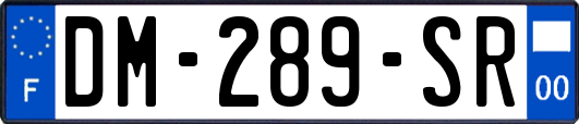 DM-289-SR