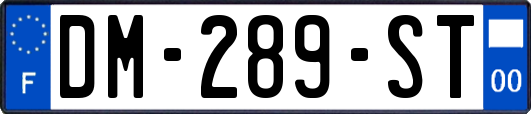 DM-289-ST