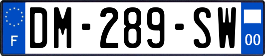 DM-289-SW
