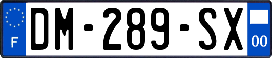 DM-289-SX
