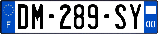 DM-289-SY