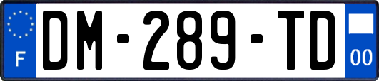 DM-289-TD