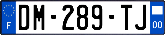 DM-289-TJ