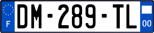 DM-289-TL