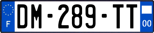 DM-289-TT