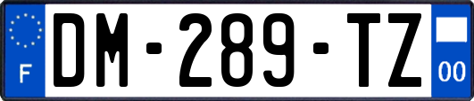 DM-289-TZ