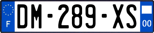 DM-289-XS