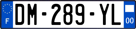 DM-289-YL