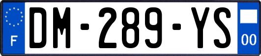 DM-289-YS