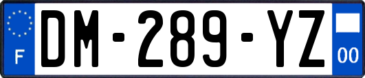 DM-289-YZ