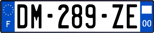 DM-289-ZE