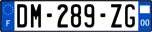 DM-289-ZG