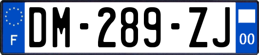 DM-289-ZJ