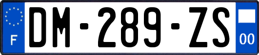 DM-289-ZS