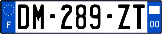 DM-289-ZT