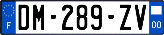 DM-289-ZV