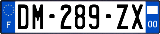 DM-289-ZX