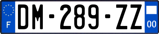 DM-289-ZZ