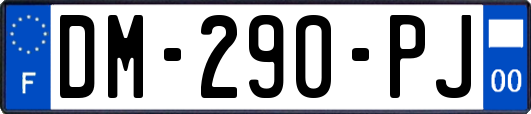DM-290-PJ