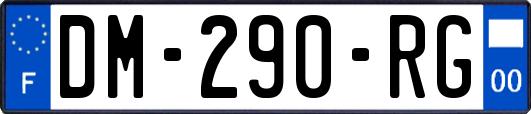 DM-290-RG