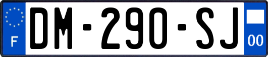 DM-290-SJ