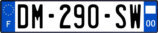 DM-290-SW