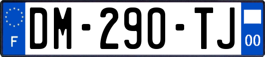 DM-290-TJ