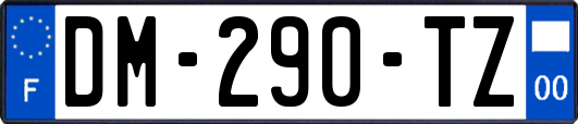 DM-290-TZ