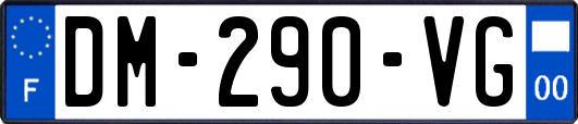 DM-290-VG
