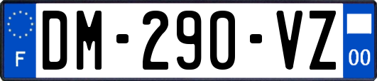 DM-290-VZ