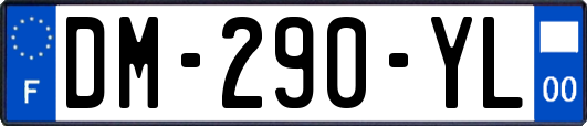 DM-290-YL